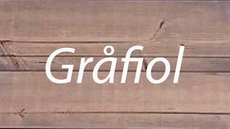 Gråfiol