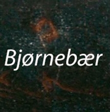 Bjørnebær